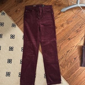 AG Isabelle high rise velvet crop